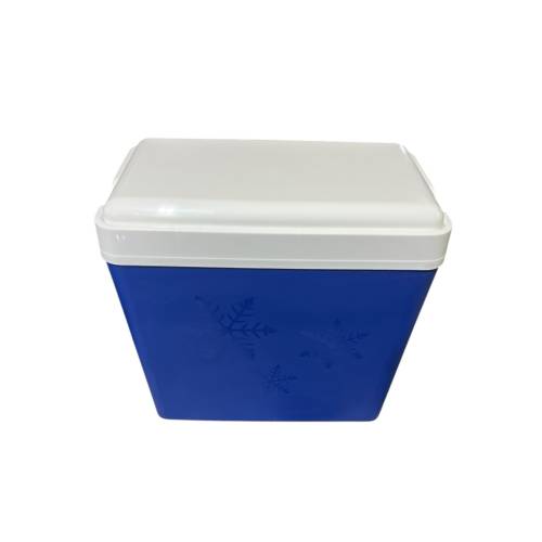 Geanta termoizolanta 3.3l Gr i+ Lada frigorifica 24 L + 4 pastile racire Enger 200g Geanta termoizolanta 3.3l Gr i+ Lada frigorifica 24 L + 4 pastile racire Enger 200g