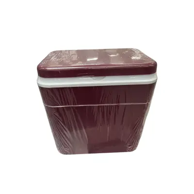 Lada frigorifica portabila 30 litri Atlantic, depozitare alimente