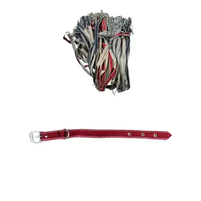 Curea caine material textil 2.5 x 40cm