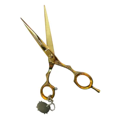 Foarfeca profesionala de tuns 6.5 inch cu tija demontabila Aurie