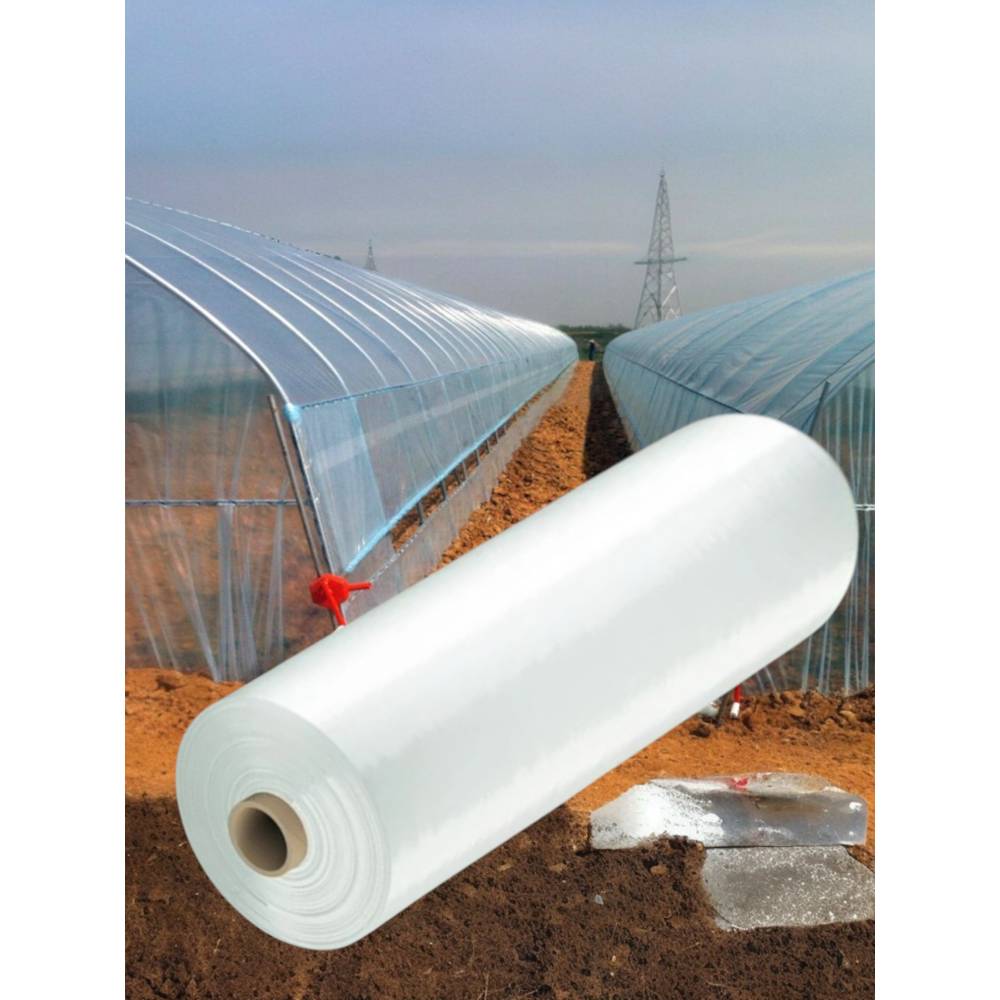 Folie pentru solar profesionala 150 microni, 8.2x10m Folie pentru solar profesionala 150 microni, 8.2x10m