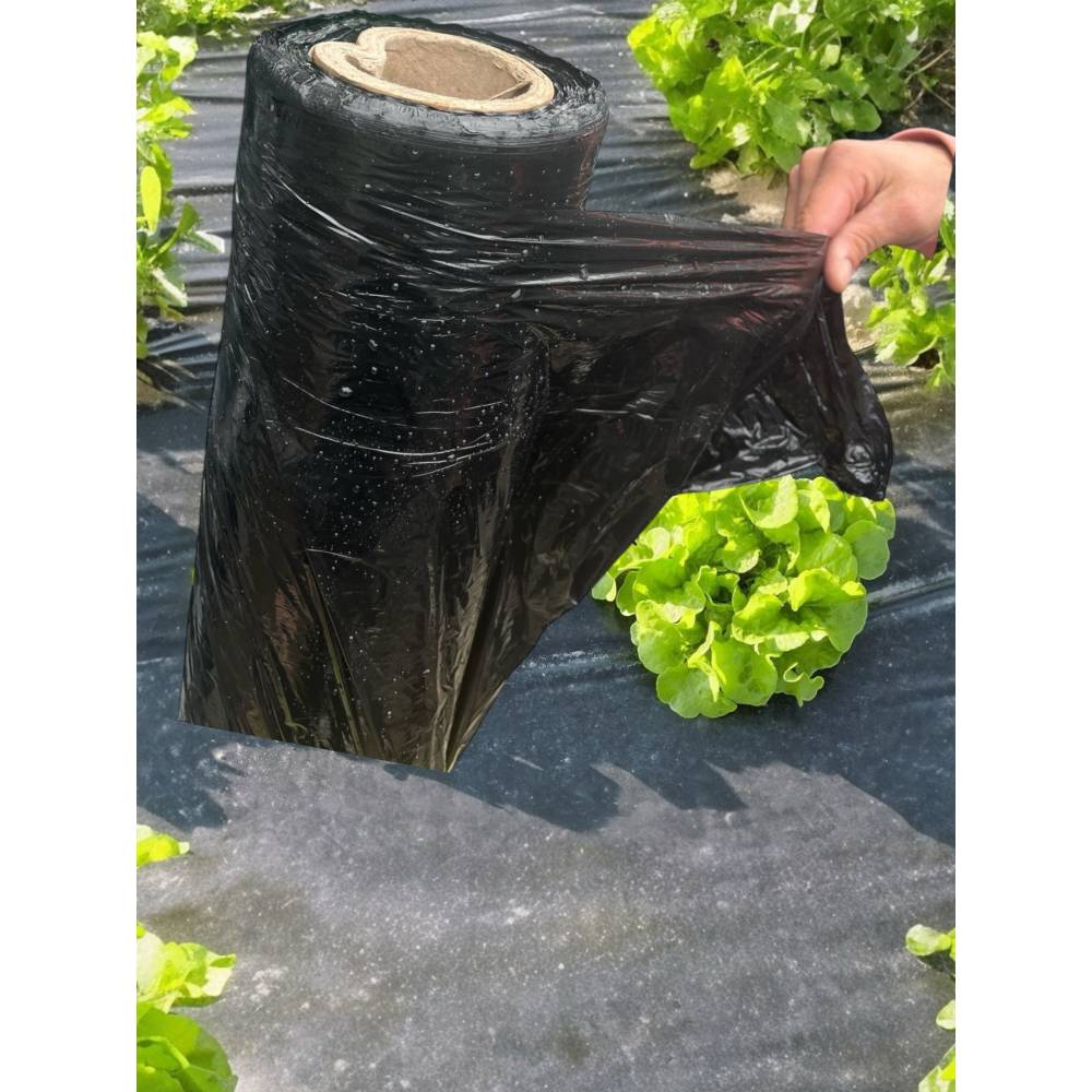 Folie mulcire 150 microni 1m latime x 2500m L (neagra) Folie mulcire 150 microni 1m latime x 2500m L (neagra)