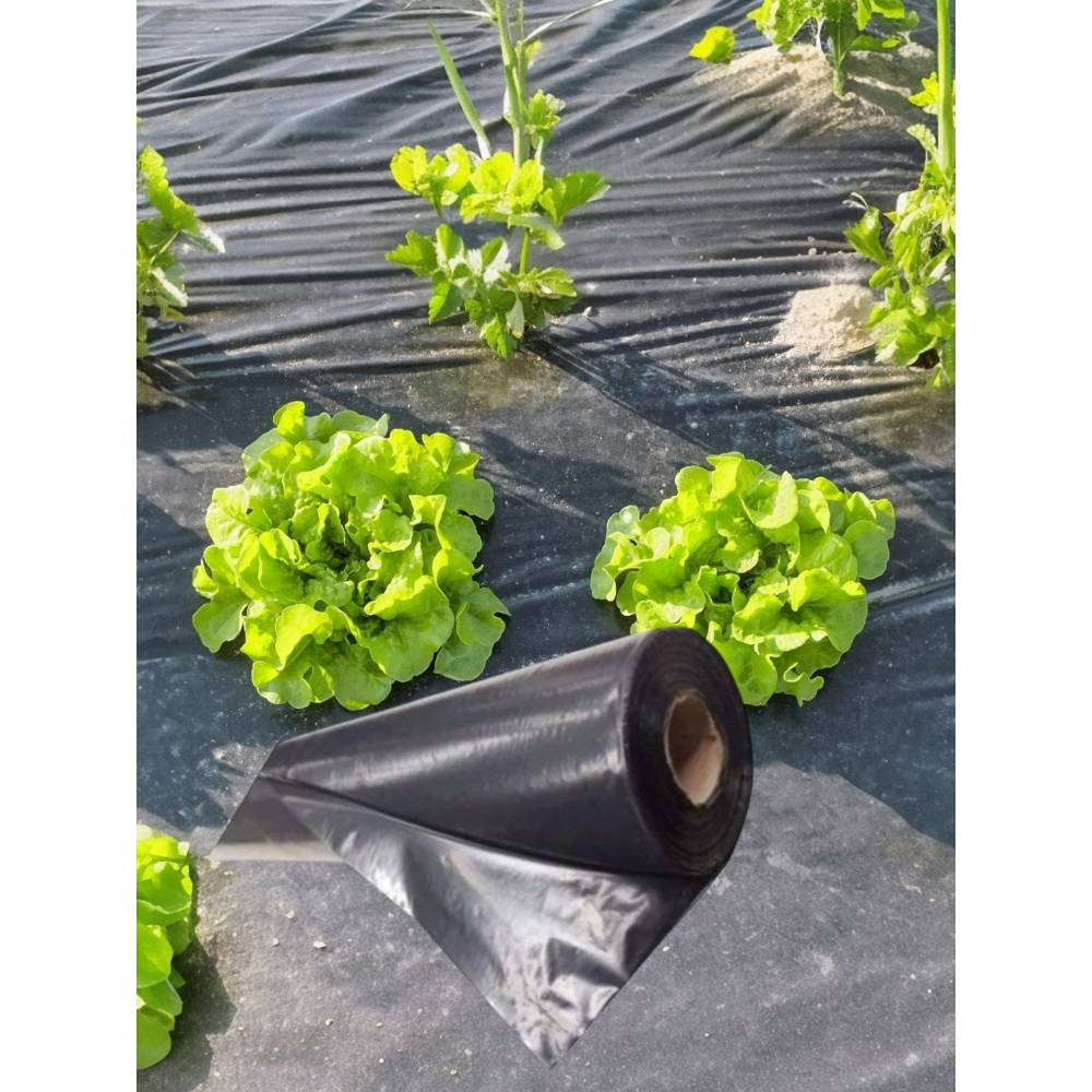 Folie mulcire 150 microni 1m latime x 2500m L (neagra) Folie mulcire 150 microni 1m latime x 2500m L (neagra)