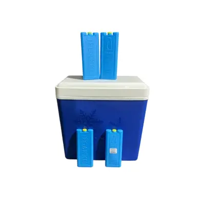 Lada frigorifica portabila 24 litri cu 4 pastile racire