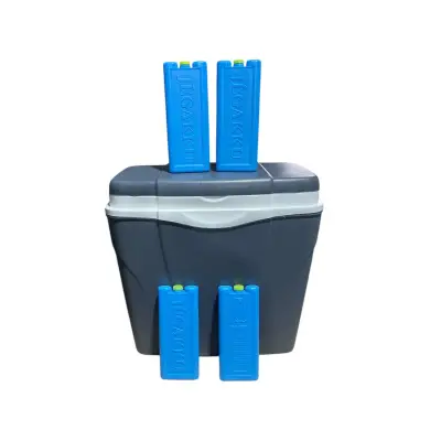 Lada frigorifica portabila 24 litri cu 4 pastile racire (200 g)