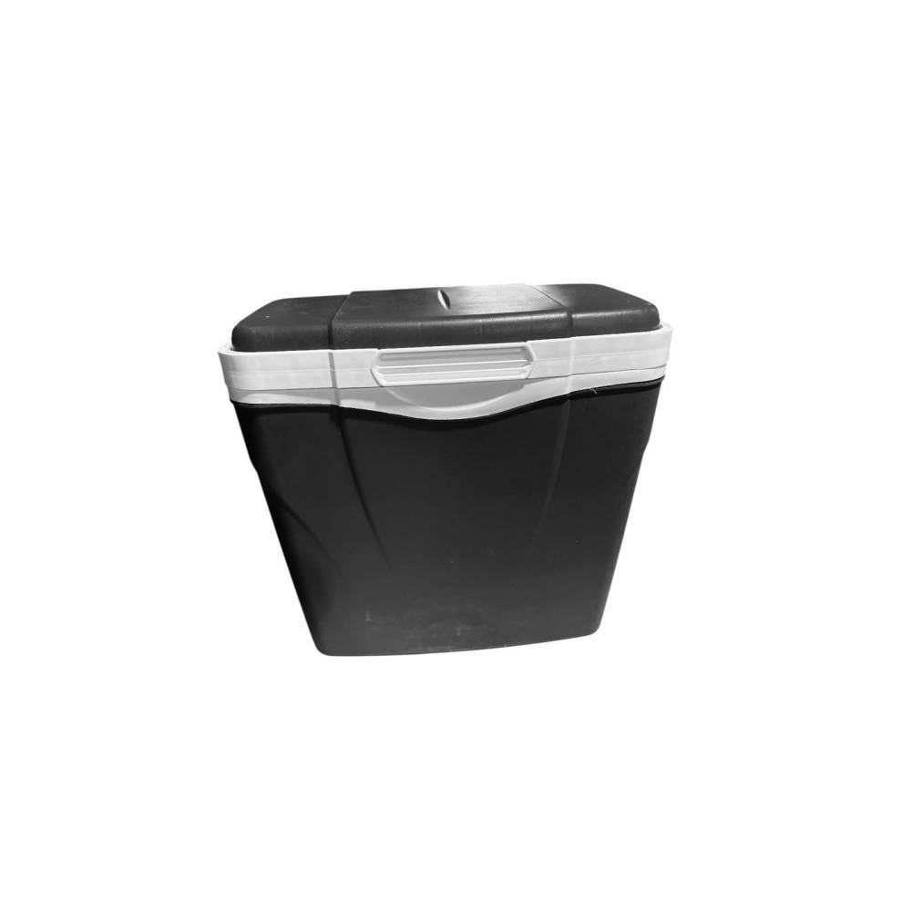 Lada frigorifica portabila 24 litri cu 4 pastile racire (200 g) Lada frigorifica portabila 24 litri cu 4 pastile racire (200 g)