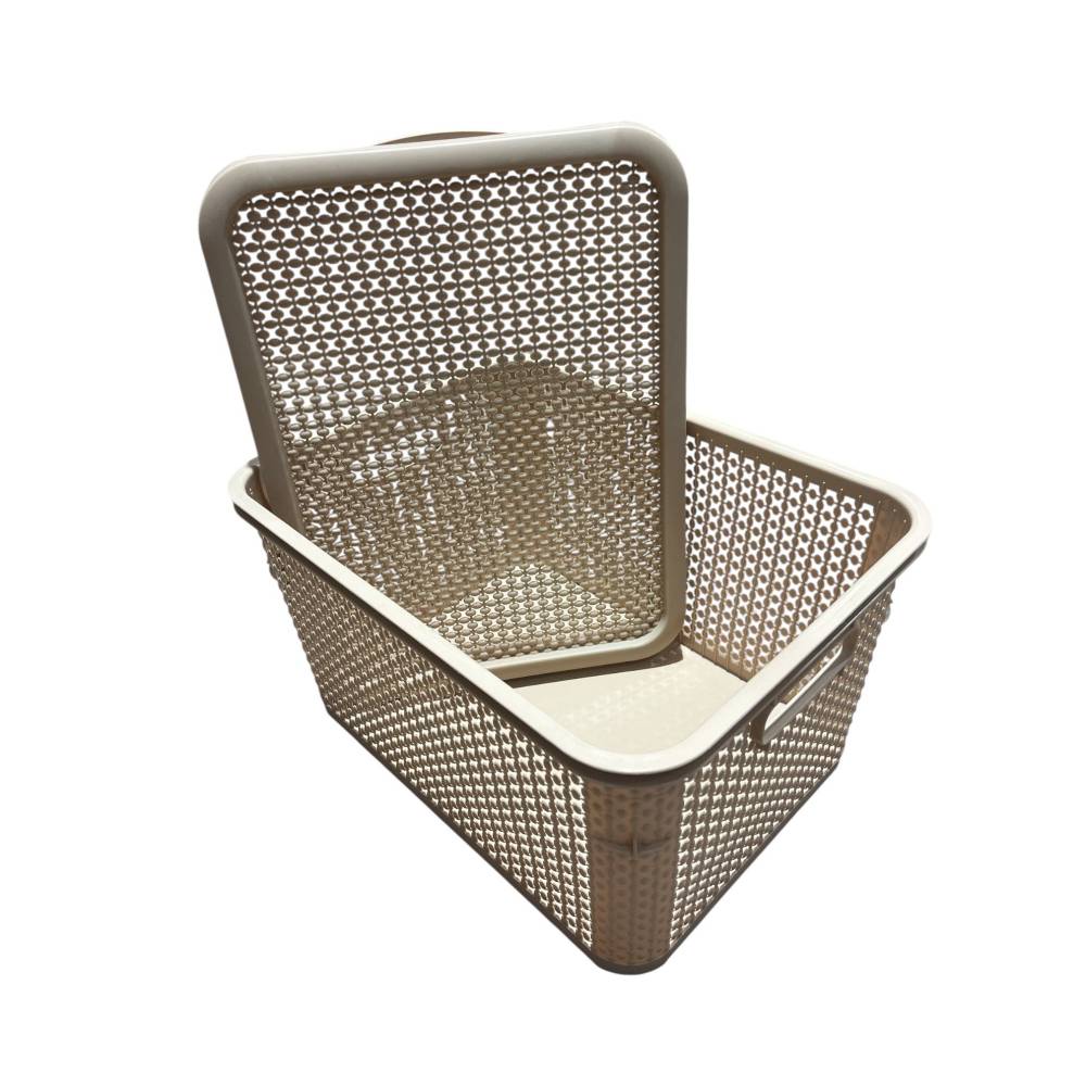 Cutie depozitare cu capac, perlat, 40L