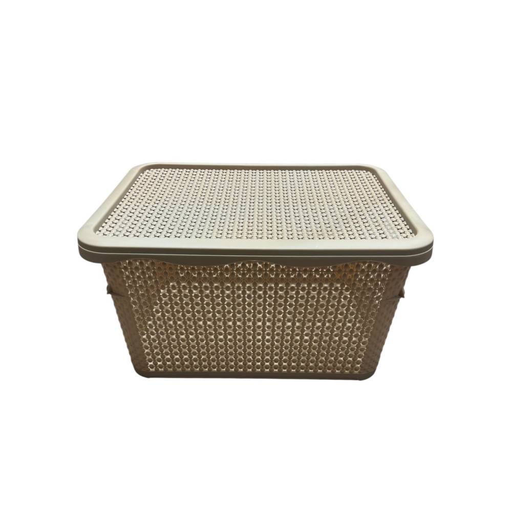 Cutie depozitare cu capac, perlat, 40L