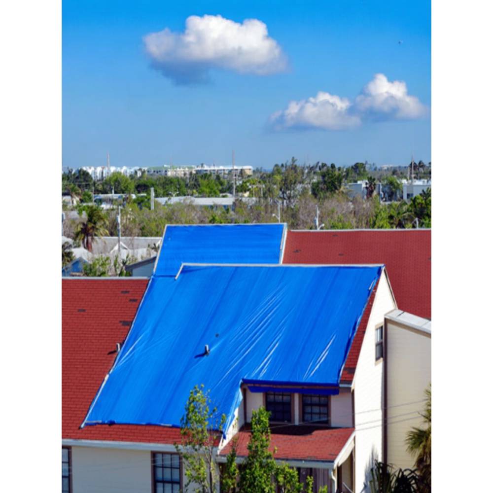 Prelata impermeabila cu inele prindere 6 x 6 m, 175g/mp albastra