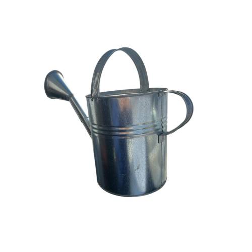 Stropitoare Metal gradina 10 L