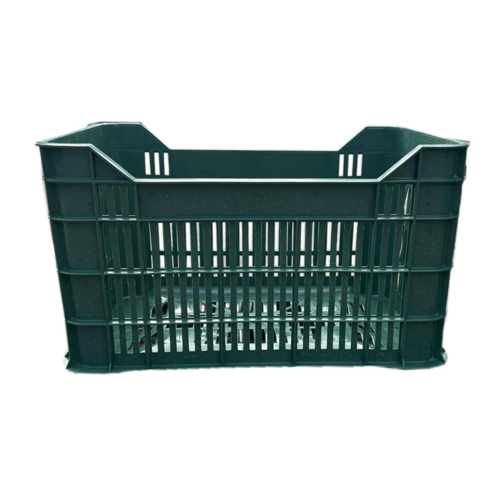Naveta plastic (mere, struguri) verde 35x53x31cm Naveta plastic (mere, struguri) verde 35x53x31cm