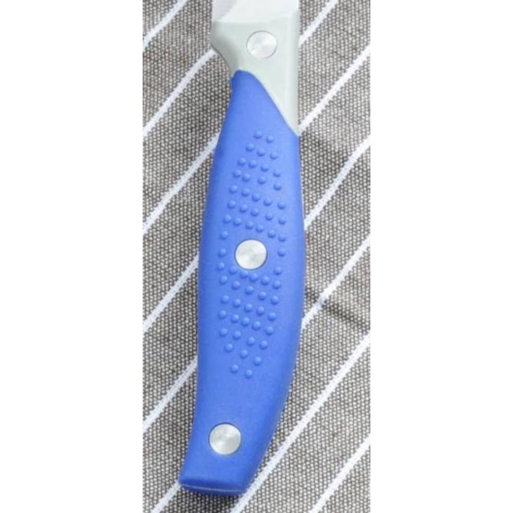 Cutit bucatarie din otel inoxidabil, lungime lama 13 cm Cutit bucatarie din otel inoxidabil, lungime lama 13 cm