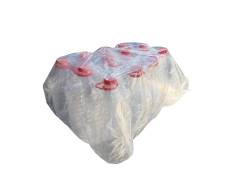 Bax 5L