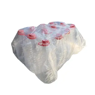 Bidon plastic 5 litri cu capac, 12 buc (transparent)