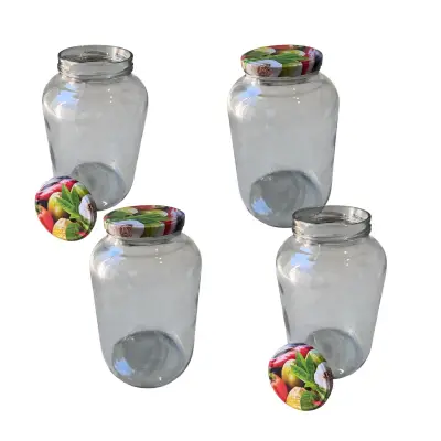 Borcan sticla 5 litri cu capac (transparent), set 4 bucati