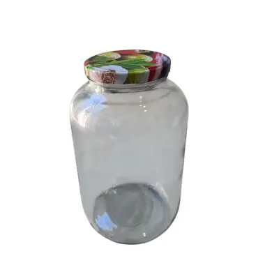 Borcan sticla 5 litri cu capac (transparent)