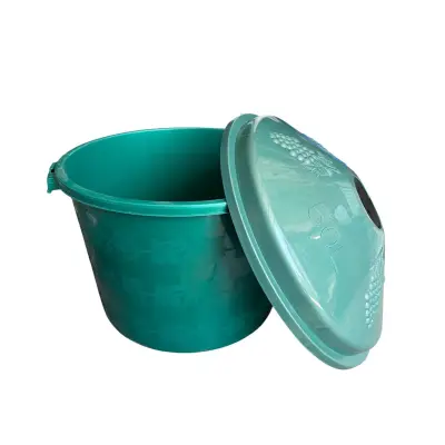 Cos damigeana 50L (litri), verde