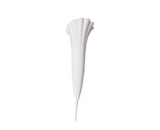 Alb