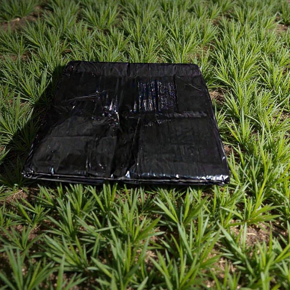 Folie antiburuieni (mulcire) 1.5 m x 50 m lungime, 150 microni Folie antiburuieni (mulcire) 1.5 m x 50 m lungime, 150 microni