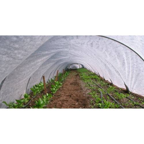 Folie Microporoasa Agril, anti inghet 23 G/MP, 4x100m