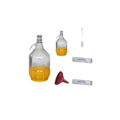 Pachet 2 x damigeana 5 L (litri) sticla, dop cu sarma ermetic + Palnie 20cm + Perie + Fitile sulf