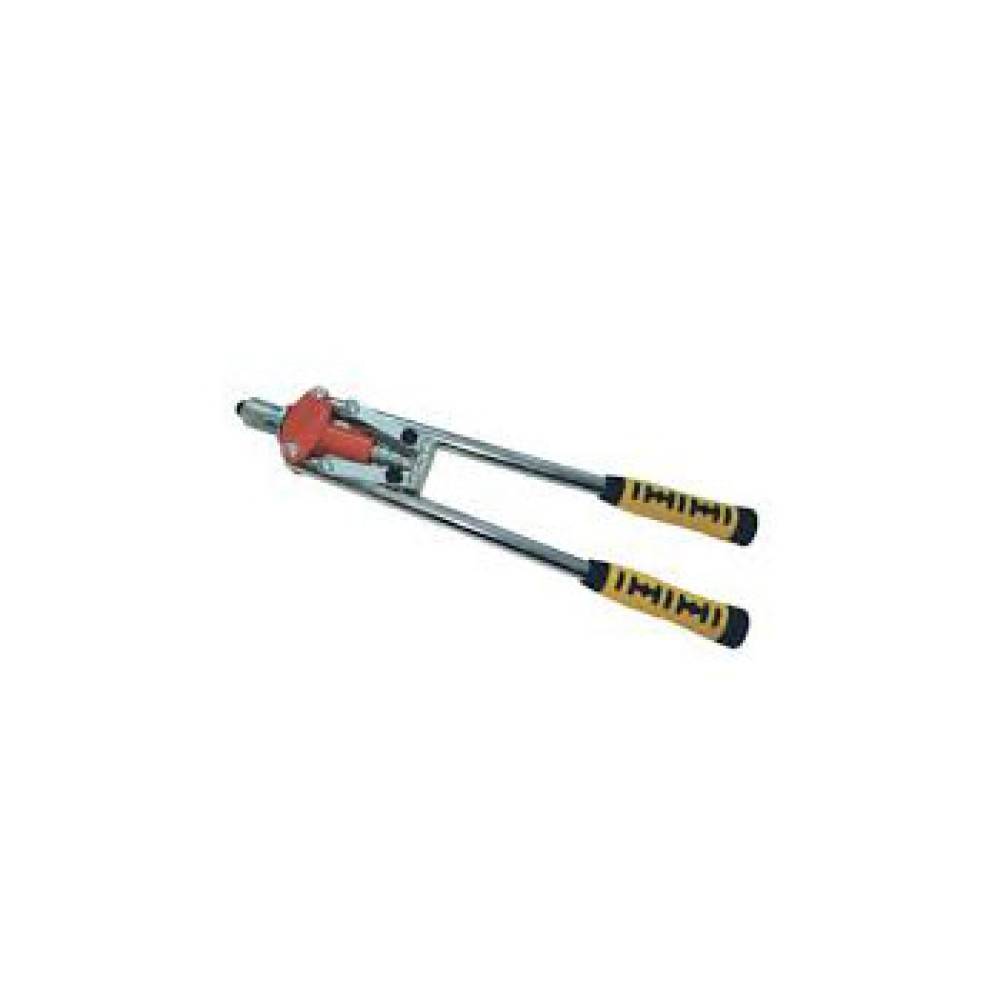 Cleste nit profesional Cleste nit profesional