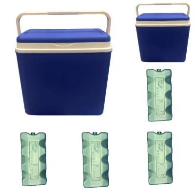 Lazi frigorifice portabile