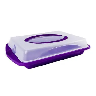 Cutie prajituri/tort cu capac si maner , 45 x 30 x 9.5 cm