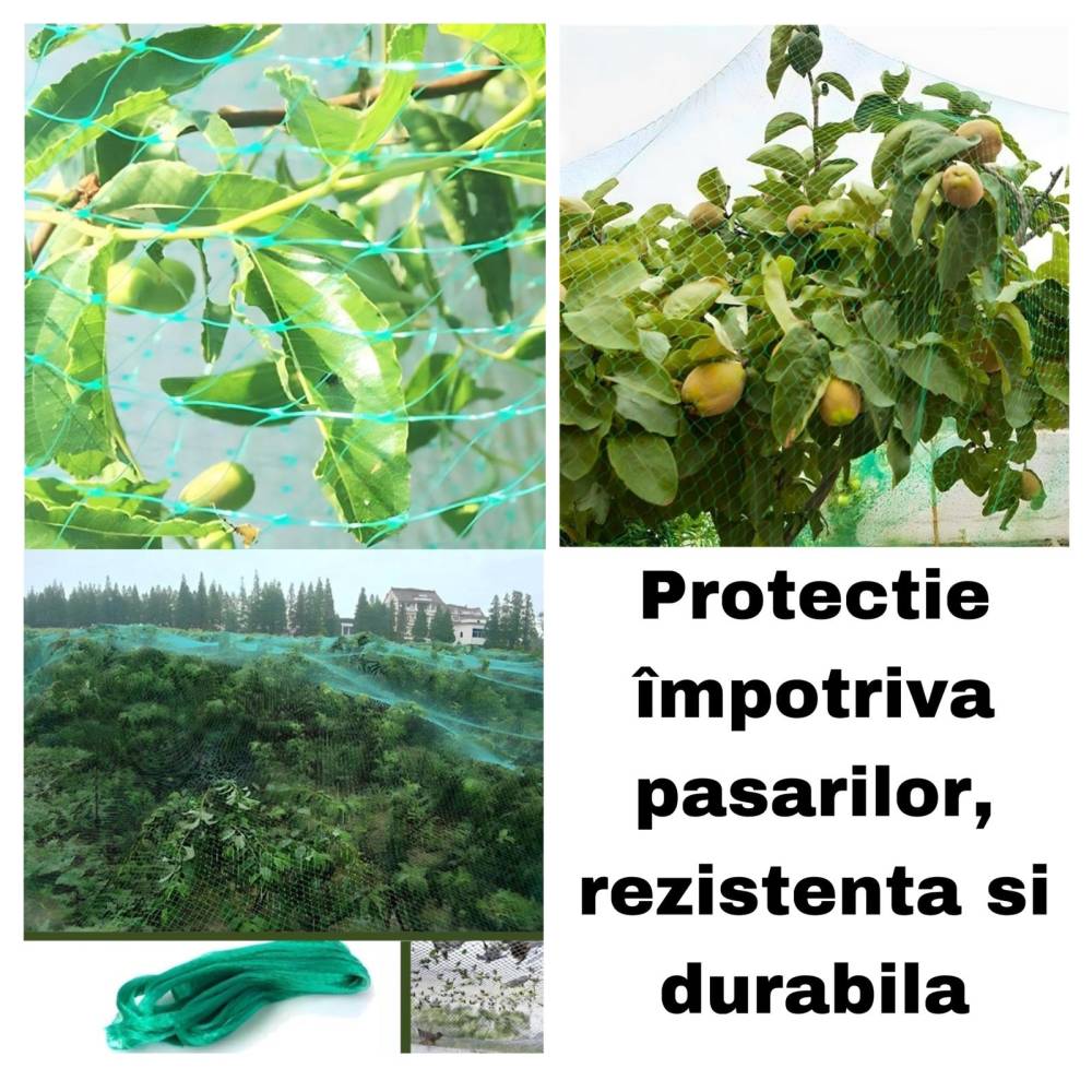 Plasa pasari verde 2m latime x 5m lungime Plasa pasari verde 2m latime x 5m lungime