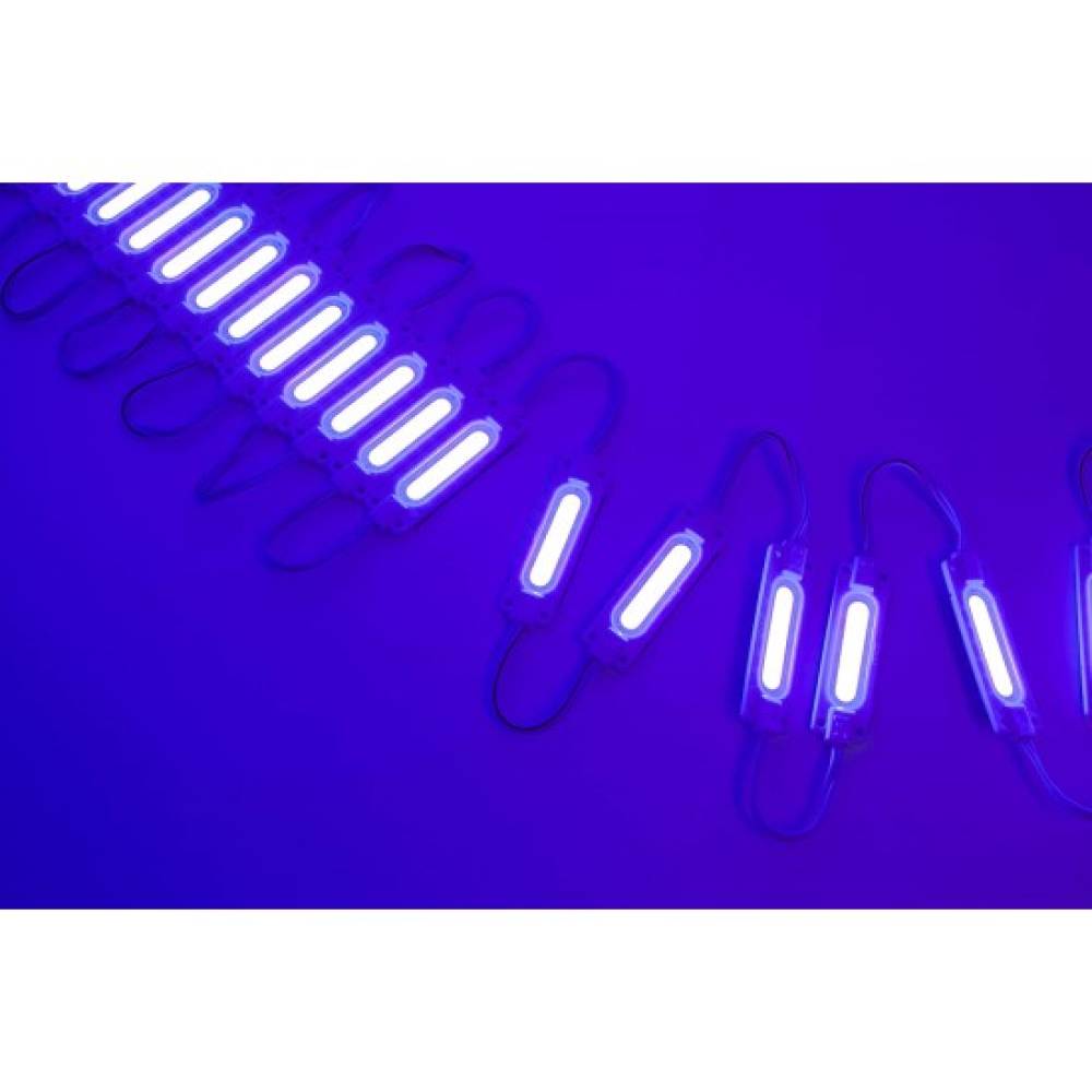 Modul LED COB ALBASTRU 6 LED-uri 12V IP65 - 20 module Modul LED COB ALBASTRU 6 LED-uri 12V IP65 - 20 module