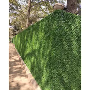 Gard artificial imitatie gard viu cu sarma 1Mx10M