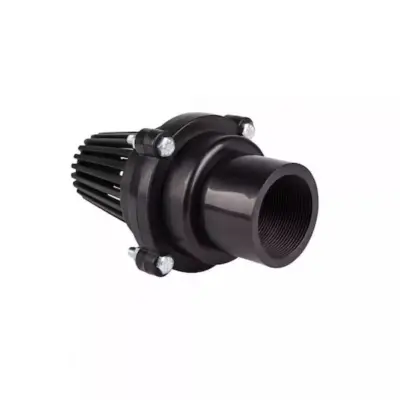 Sorb motopompa 2 toli filet interior, cu supapa