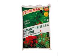 4L Florimax