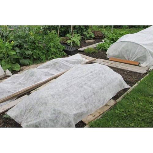 Folie Microporoasa Agril, anti inghet 23 G/MP, 4x100m