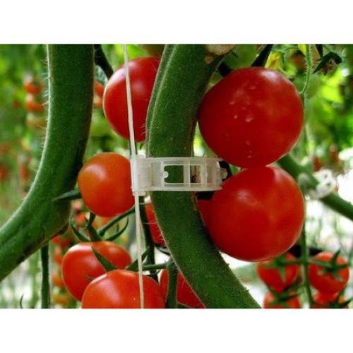CLIPS DE PALISARE LEGUME (TOMATE, ARDEI, CASTRAVETI), 500 BUC CLIPS DE PALISARE LEGUME (TOMATE, ARDEI, CASTRAVETI), 500 BUC