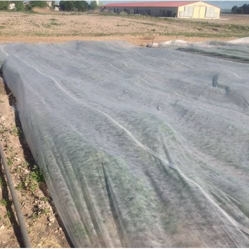 Folie Microporoasa Agril, anti inghet 23 G/MP, 4x100m