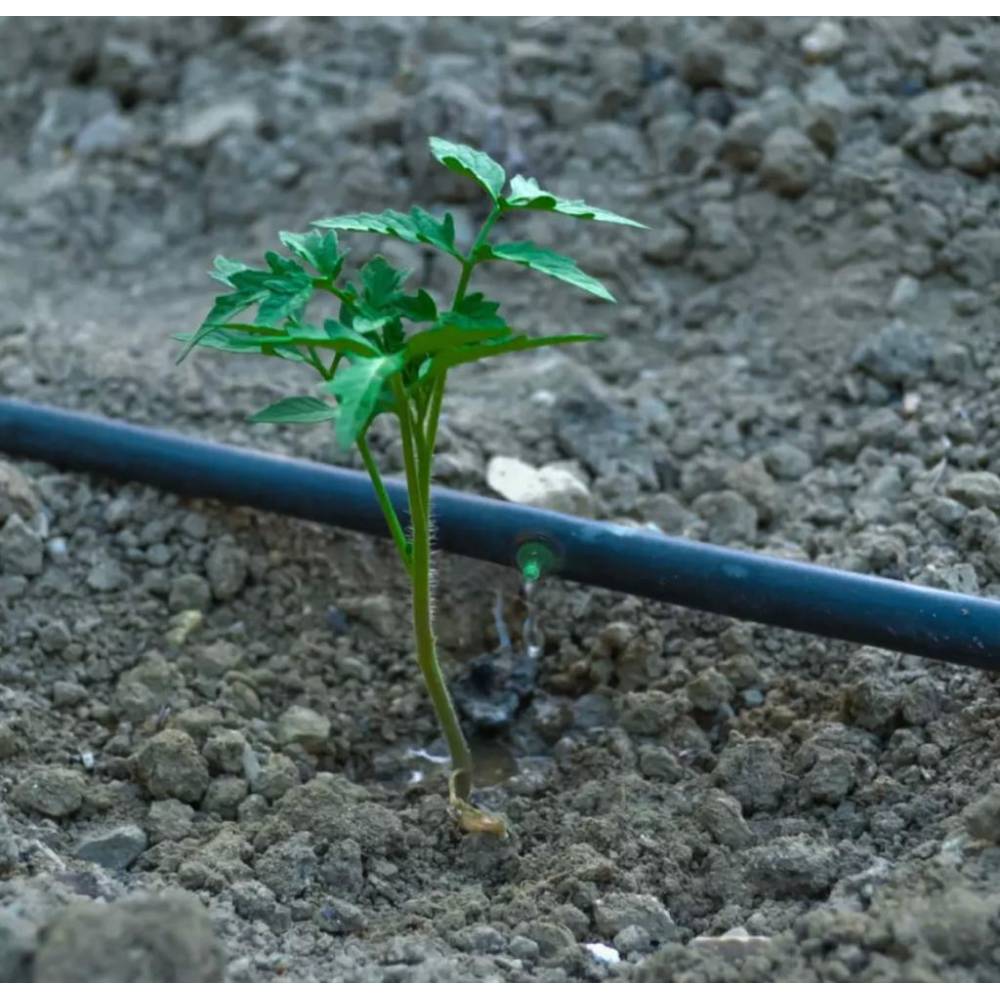 Duza picurare 4L/H premium, Aquarius Duza picurare 4L/H premium, Aquarius