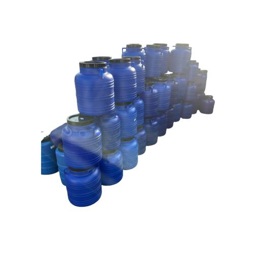 Butoi/Bidon 10L din plastic alimentar, cu capac prin infiletare si maner